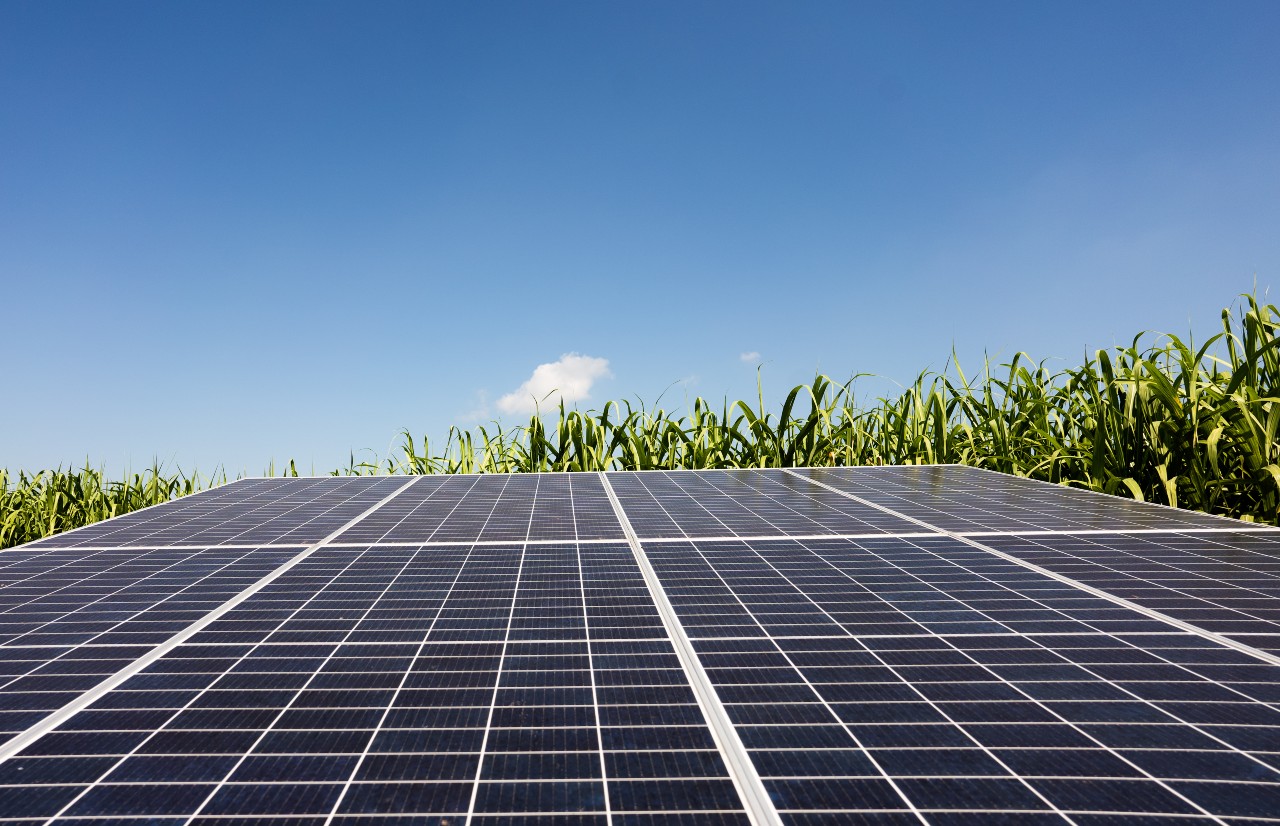 Fotovoltaico per aziende agricole